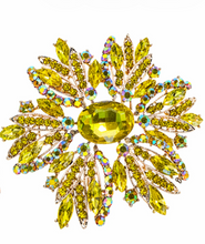 Load image into Gallery viewer, Statement Circular Brooch
